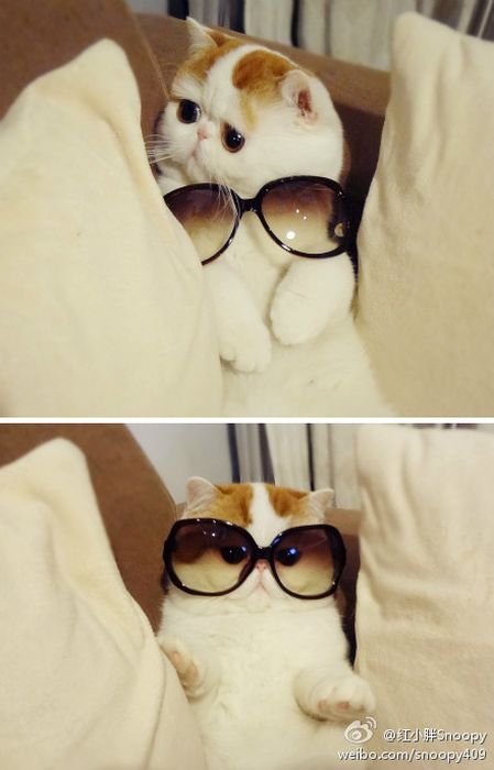http://www.seemorgh.com//uploads/1391/03/acid_picdump_81.jpg