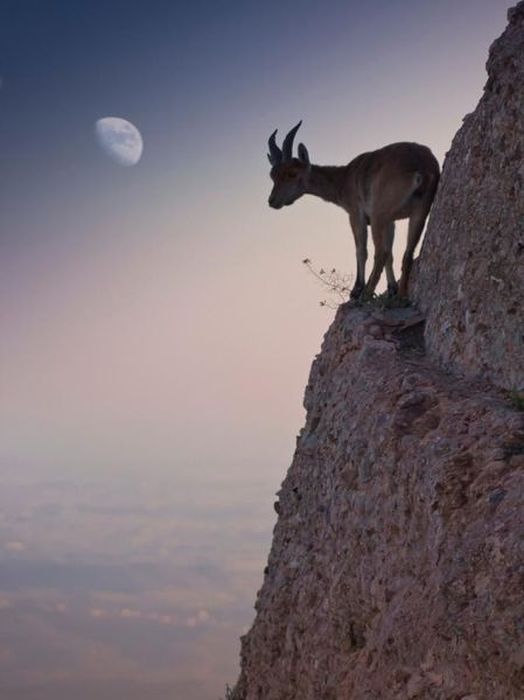 عکس منتخب روز / 3 اسفند