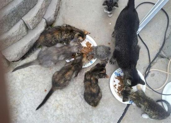 http://www.seemorgh.com//uploads/1391/07/acid_picdump_80.jpg