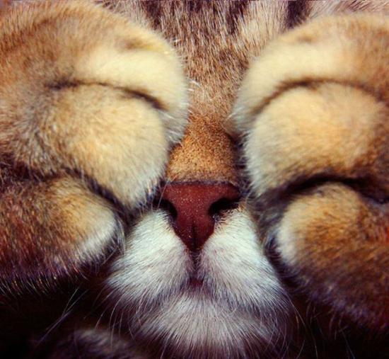 http://www.seemorgh.com//uploads/1391/07/acid_picdump_82.jpg