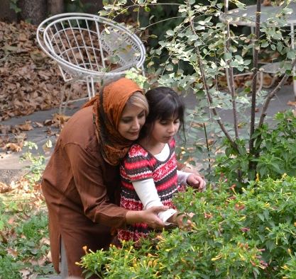 http://www.seemorgh.com/uploads/1392/03/01/3231.jpg