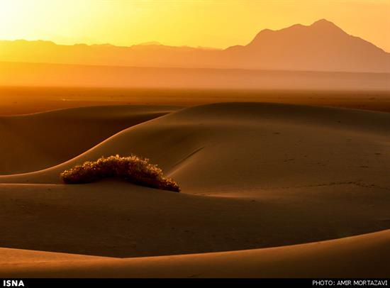 http://www.seemorgh.com/uploads/1392/12/kavir-93-yazd1.jpg