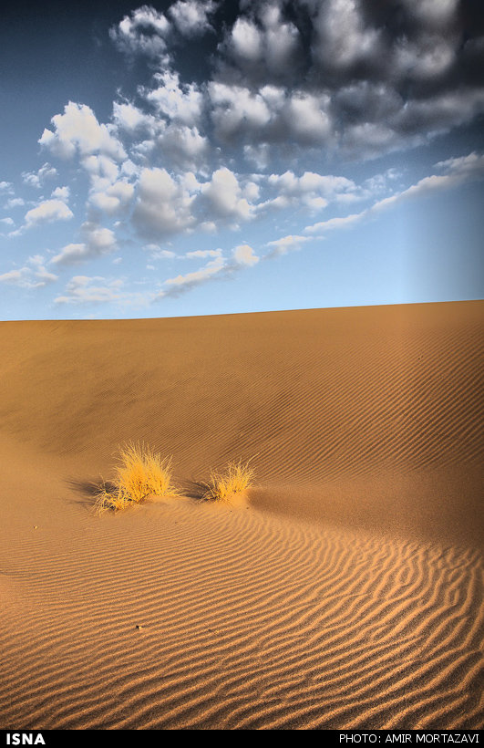 http://www.seemorgh.com/uploads/1392/12/kavir-93-yazd11.jpg
