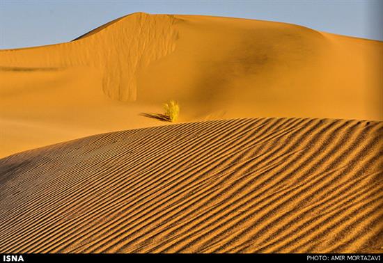http://www.seemorgh.com/uploads/1392/12/kavir-93-yazd8.jpg