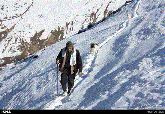 http://www.seemorgh.com/uploads/1392/12/soobatan-behesht-gilan7.gif