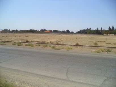 http://www.seemorgh.com/uploads/1393/05/za03.JPG