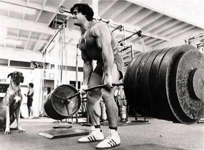 http://www.seemorgh.com/uploads/488888888.jpg