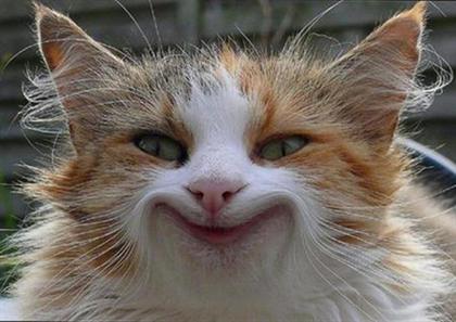 http://www.seemorgh.com/uploads/adfadadadf.jpg