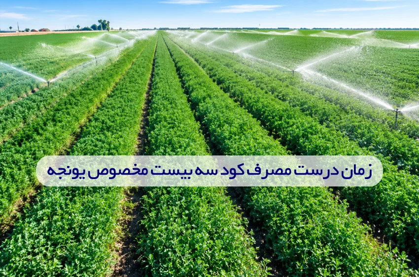 کود سه بیست برای یونجه