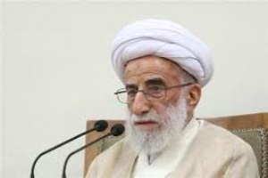 انقلاب ایران موجب بیداری و سرنگونی کشورهای مستکبر شد 