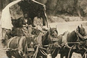 روایتی خواندنی از سفر ناصرالدین شاه به کربلا