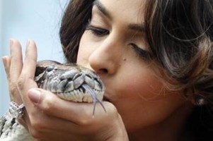دختر 20 ساله ایرانی که ۱۱ بار زبان مار کبرا را بوسید و در گینس ثبت شد! عکس