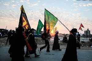خانم نماینده کنگره آمریکا در پیاده‌ روی اربعین