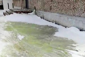 بارش برف سبز رنگ و ترس مردم! عکس