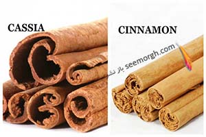 دارچینی که میخورید سمی است! دارچین اصل را بشناسید