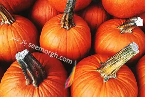  خواص فوق العاده کدو حلوایی، از تقویت بینایی تا تقویت قلب