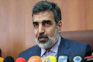 کمالوندی: دسترسی‌های آژانس محرمانه است
