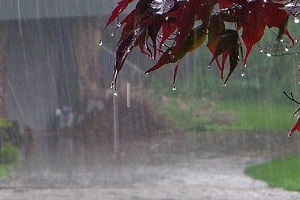 بارش باران در ۱۳ استان کشور