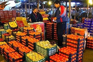 آغاز عرضه نوروزی سیب و پرتقال با نرخ دولتی