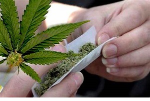 عوارض مخرب اعتیاد به گل از خوش گذرانی تا پشیمانی