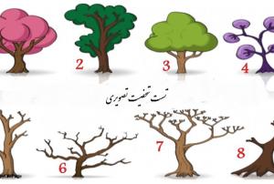 تست شخصیت شناسی با انتخاب یکی از این 9 درخت! عکس