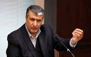 وزیر راه: رفتار خلبان ترکیش ایر منطقی نبود