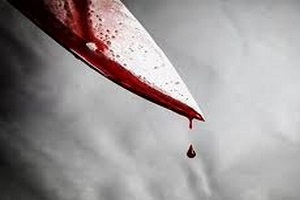 جنایت، پایان کری‌خوانی ۲ نوجوان در فضای مجازی
