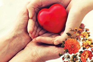 نکاتی راجع به اهدا کردن عضو به بهانه روز جهانی اهدای عضو