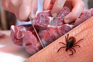 تب خطرناک کنگو در گرمای هوا