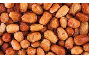 فواید روغن هسته سنجد