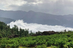 کلاردشت کجاست 