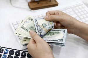پیامدهای حذف ارز دولتی را چه کسی گردن می‌ گیرد؟