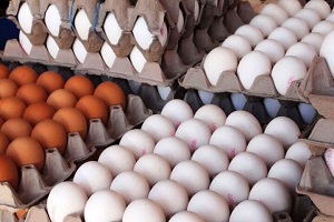 هر شانه تخم مرغ 30 عددی در بازار چند ؟ 