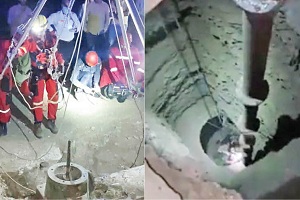 کبوتر، نوجوان 13 ساله را تا یک قدمی مرگ برد