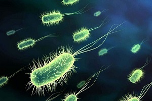 شناسایی قطعی پنج بیمار مبتلا به ویروس خطرناک