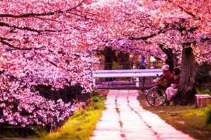چطور بهار برای ایرانی ها نوروز و آغاز سال نو شد؟ + لحظه تحویل سال ۱۳۹۶