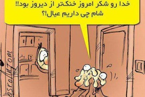راه هایی برای فرار از گرمازدگی! عکس طنز