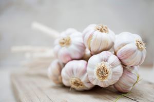 سیر را خام بخوریم یا پخته؟