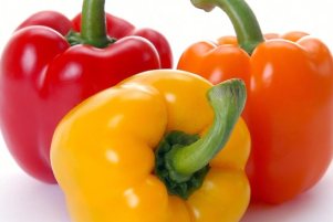 فلفل دلمه ای و زخم معده