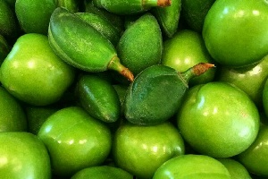 میوه های نوبرانه