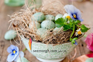 تزیین تخم مرغ هفت سین با گل های طبیعی برای سفره هفت سین!!