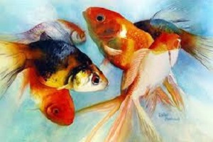 حراج دردناک سبزه و ماهی قرمز 