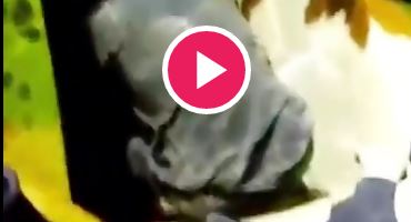 لحظه خاکسپاری آیت الله هاشمی