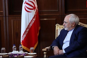 دیدار ظریف با رییس‌جمهور آلمان