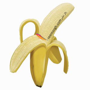 bananas_copy.jpg