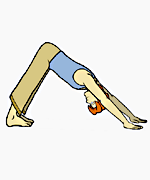downward-facingdog-step3_copy.gif