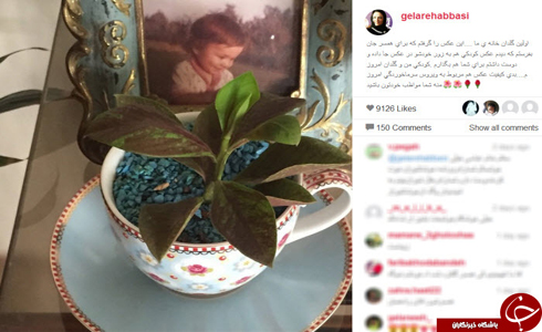 گلدان خانه ی گلاره عباسی