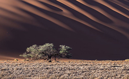لحظه ای خاص از صحرای نامیب