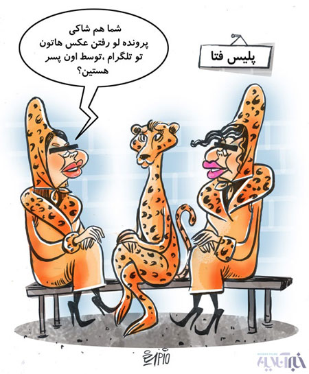 shakian_336.jpg
