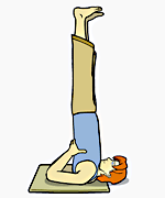 shoulder-stand-step9.gif